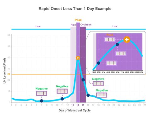 Rapid Ovulation Pattern | Pregnancy calculator, Ovulation, Ovulation ...