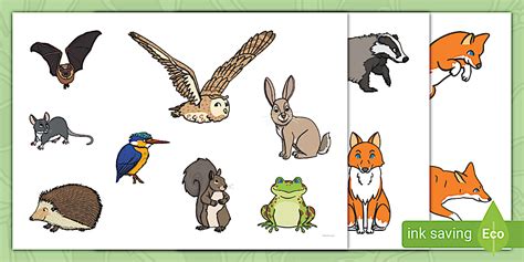 Little Fox Woodland Sensory Story Cut-Outs | Story Resources