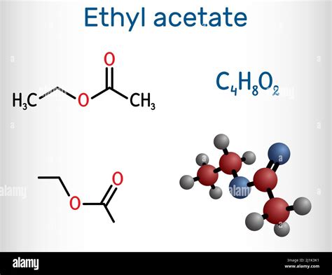 Ethyl acetate, ethyl ethanoate, C4H8O2 molecule. It is acetate ester formed between acetic acid ...