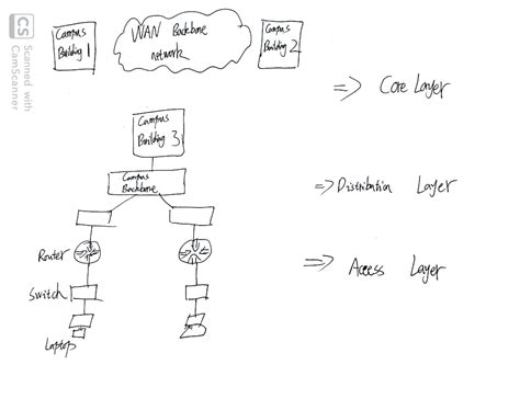 Backbone Network Example 的图像结果