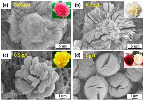 Enzyme-Loaded Flower-Shaped Nanomaterials: A Versatile Platform with ...