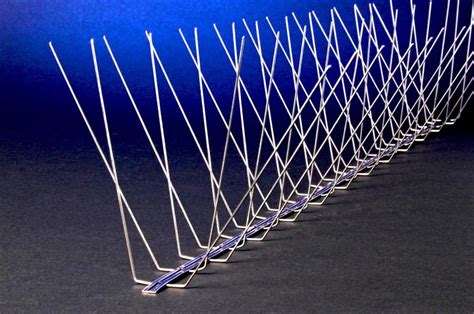 Pigeon Spikes 的图像结果