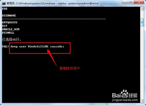 windows cmd 怎么弄数码雨