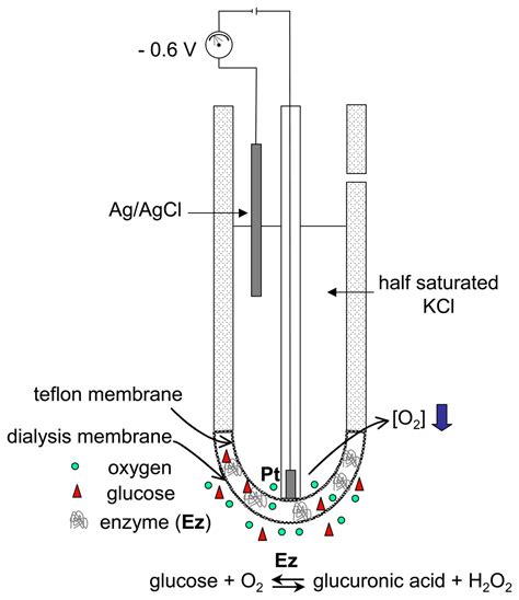 Assembling Amperometric Biosensors for Clinical Diagnostics