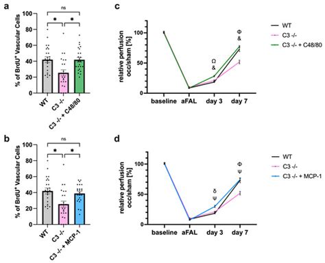 The Complement System Is Essential for Arteriogenesis by Enhancing ...
