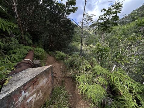 Hiking the Kaʻau Crater Trail on Oʻahu — noahawaii