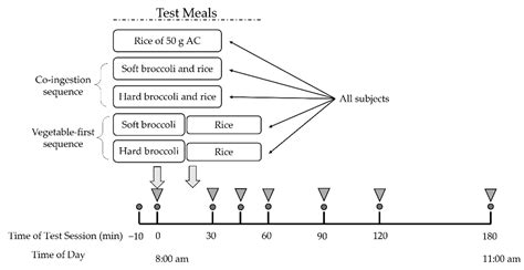 Combination of Texture-Induced Oral Processing and Vegetable Preload ...