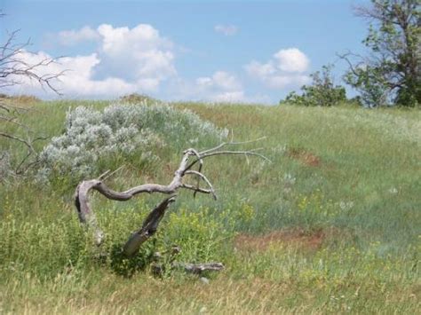 THE 5 BEST Places to Visit in Broadus (2026) - Must-See Attractions