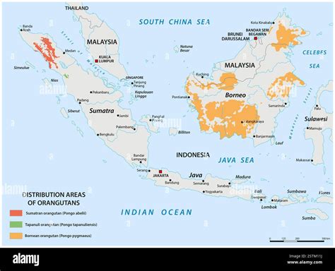 Map of the distribution areas of orangutans Stock Photo - Alamy