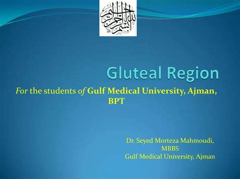 Anatomy of Gluteal Region | PPTX