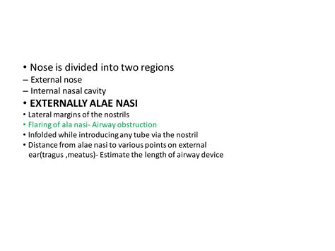 Anatomy of upper airway - a detailed description for anesthetist | PDF