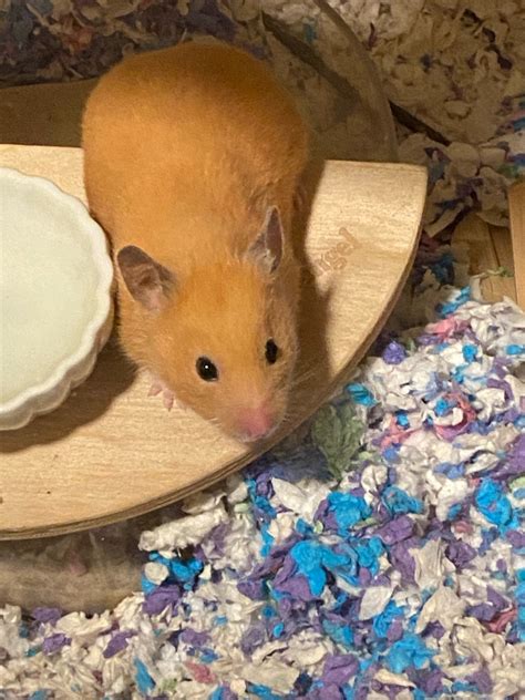 Graveflower : My special girl