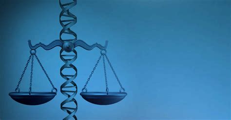 Bioethics 的图像结果