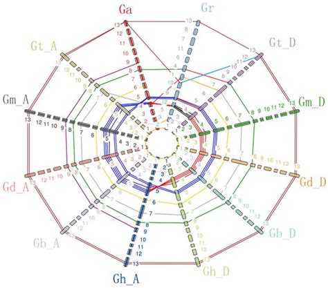 Genome-Wide Identification, Characterization and Experimental ...