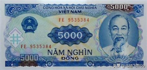 去越南旅游要换外币吗(越南旅游：外币换汇攻略) - 旅游攻略