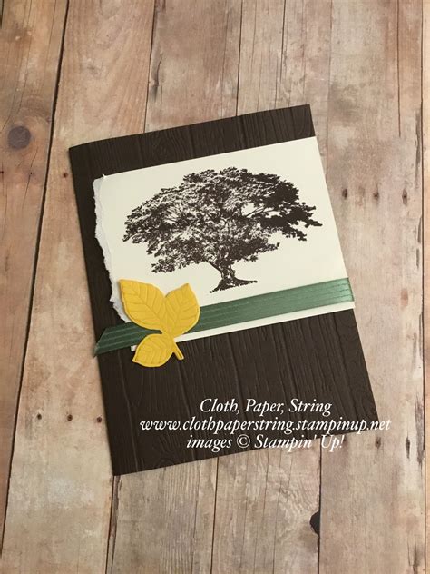 String Thread 的图像结果