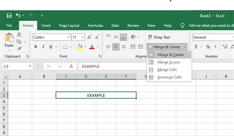 Image result for Excel Cell Merging