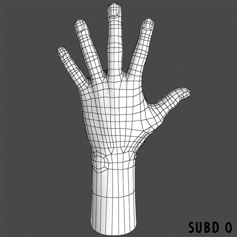 male hand modeled 3d model