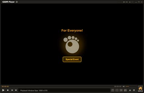 Install GOM Player 的图像结果