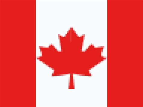 Explore Dental Vacation Packages India