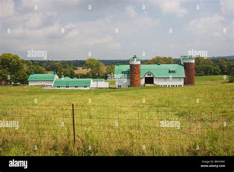 Farm 的图像结果
