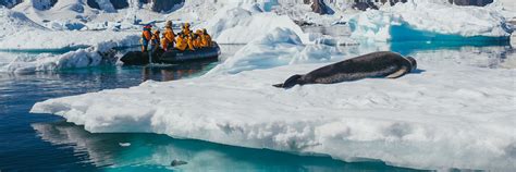 Expedition Voyages - Antarctica Cruise - Norway Cruise - Arctic Cruise