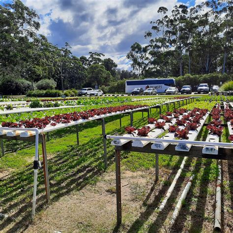 BARRAMUNDI FARM (2026) All You Need to Know BEFORE You Go (with Photos ...