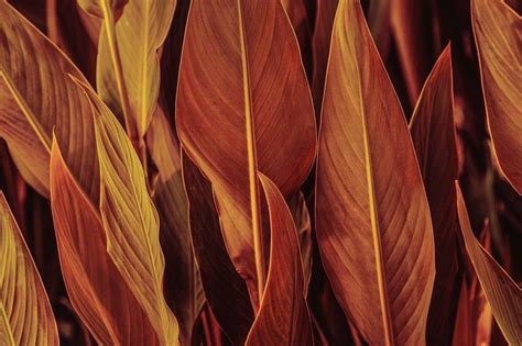 Image result for Alienware Stock Wallpapers 4K