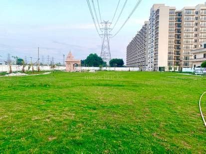 AVL 36 Gurgaon in Sector 36A, Gurgaon: Price, Brochure, Floor Plan, Reviews