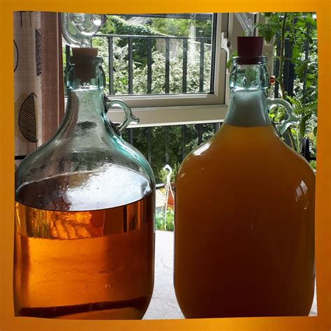 What is mead and how to make it sprouting wheel – Artofit