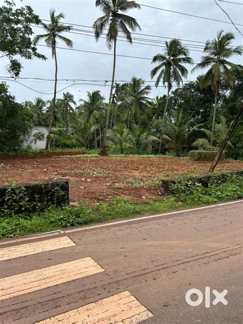 Good Rectangular Plot Near Kakkur - Lands & Plots - 1814718696