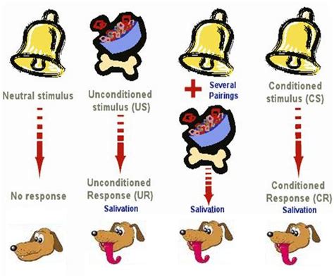 Operant Conditioning Exercises 的图像结果
