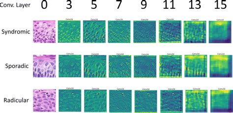 Time Complexity of Convolutional Layers Output Feature Map 的图像结果