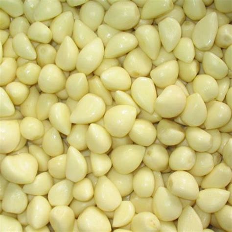 Fresh Peeled Garlic Manufacturer, Supplier from Kolkata