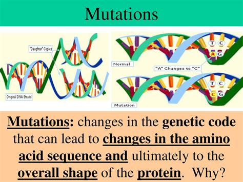 Image result for Mutation Codes