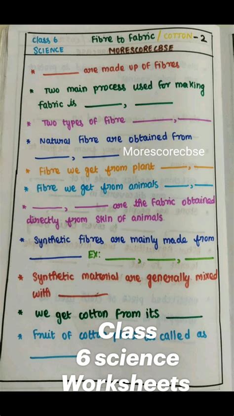 Image result for 6th Class Science Exercise