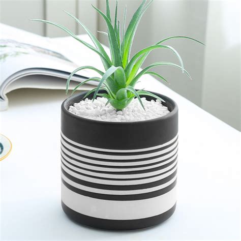 White Flower Vases Online - Premium Vase | Nestasia