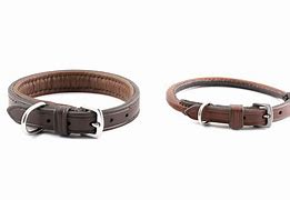 Image result for Reflective Dog Collars