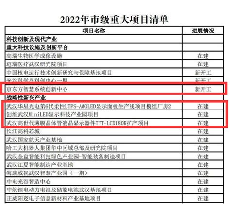 武汉市2022年市级重大项目清单公布 京东方、华星、创维等项目在列_行业动态_资讯_液晶网