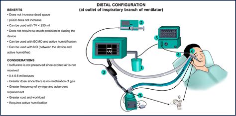 Practical approach to inhaled sedation in the critically ill patient ...