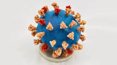 Example of Model 的图像结果