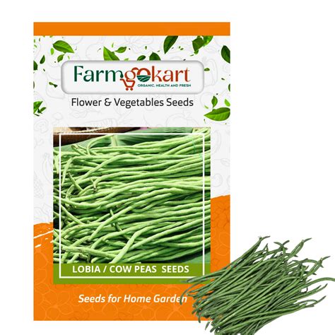 LOBIA - COW PEAS SEEDS - 100 Grams ( Perfect for Home Gardening, Open ...