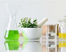 Image result for Herbal Pharmacy
