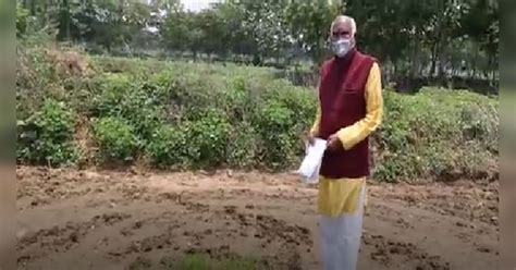 This farmer engaged in saving 25 indigenous species of paddy in Janjgir ...