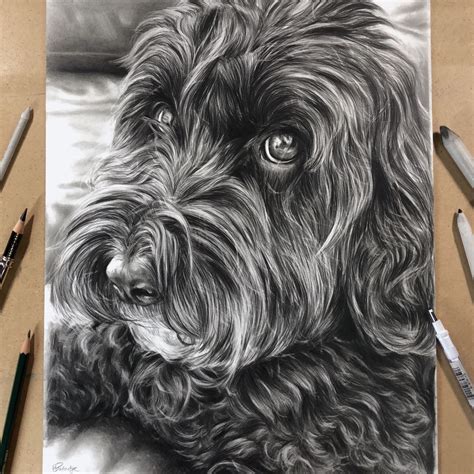 Realistic Dog Drawing Tutorial 的图像结果