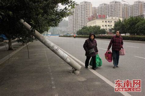 福州西园村：电线杆倒在行道树上 路人担心过往安全 - 社会民生 - 东南网