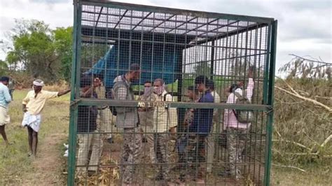 Irked by incompetency, Karnataka villagers lock up forest officials