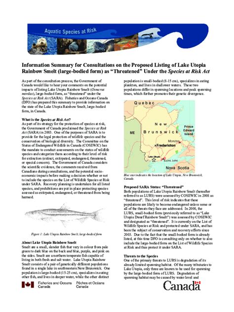 Fillable Online Information Summary for Consultations on the Proposed ...