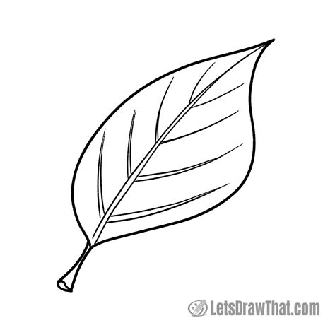 How to Draw Leaves: 3 Easy Fall Leaf Drawings