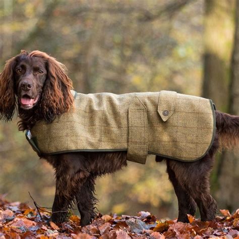 Luxury Dog Coats | Designer Dog Coats | Waterproof Dog Coats – Chelsea Dogs